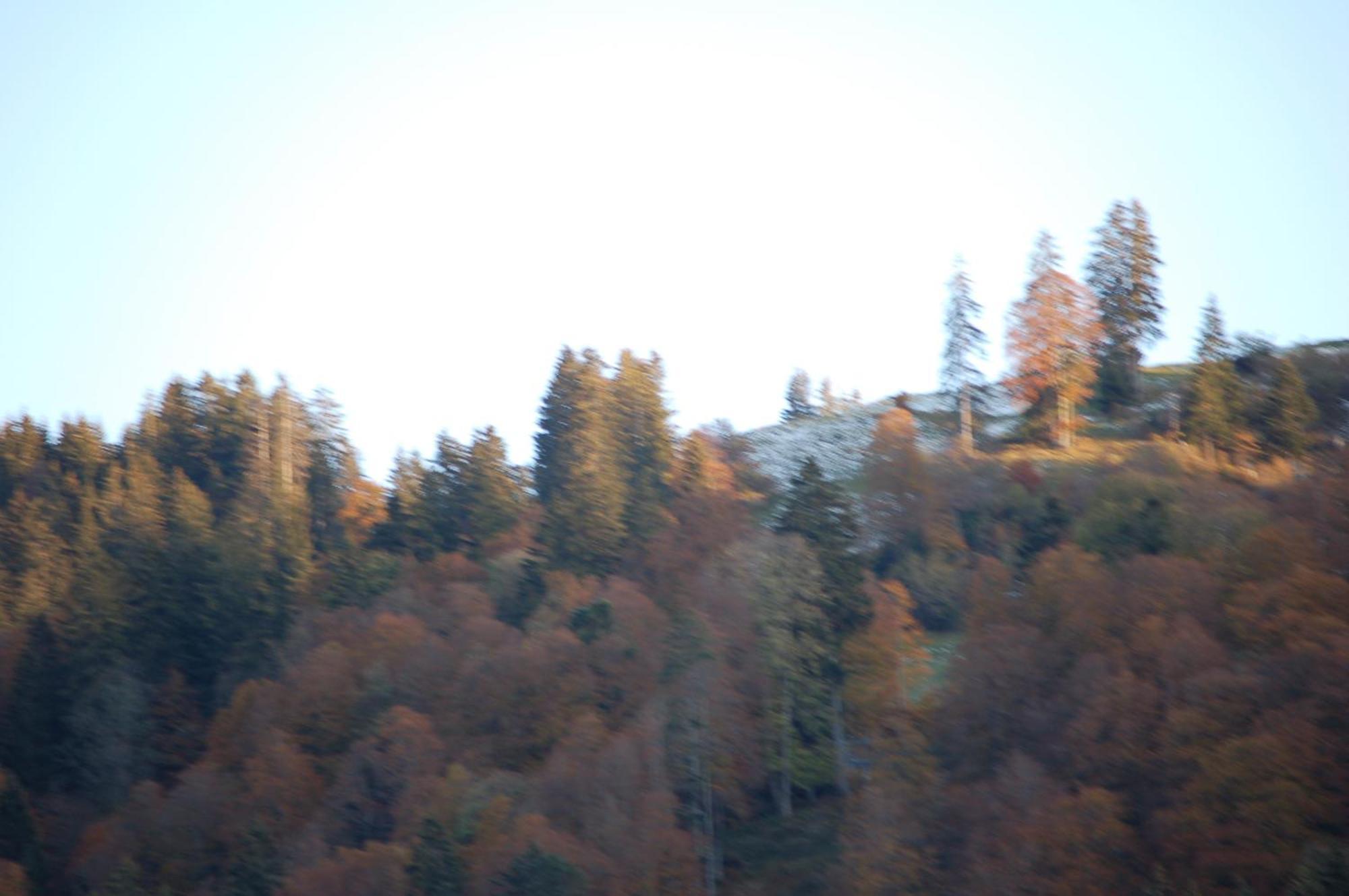 Gasthaus Schaefli Alt St. Johann Extérieur photo